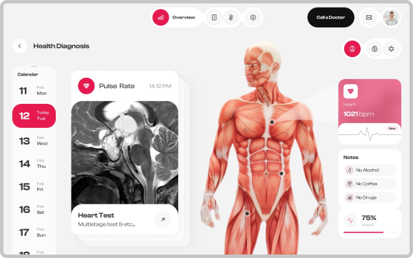 Electronic Health Record (EHR/EMR) Software Solutions
